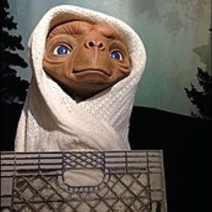 Meet your Posher, Angelica